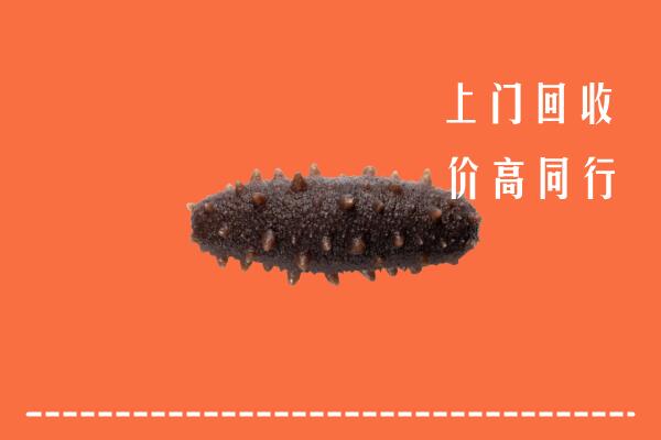 高价求购：江源区回收海参