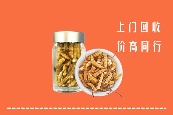 江源区回收冬虫夏草