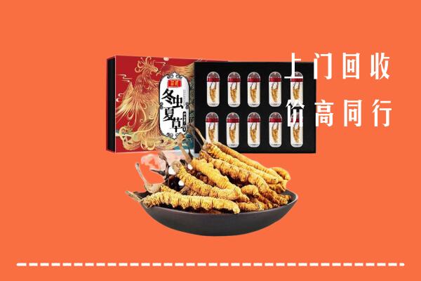 江源区回收虫草